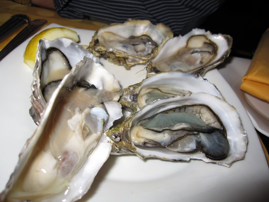 Oyster Wars 1