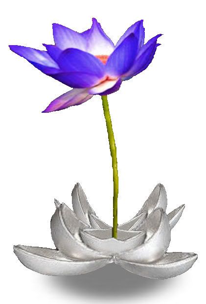 Blue lotus silver planter