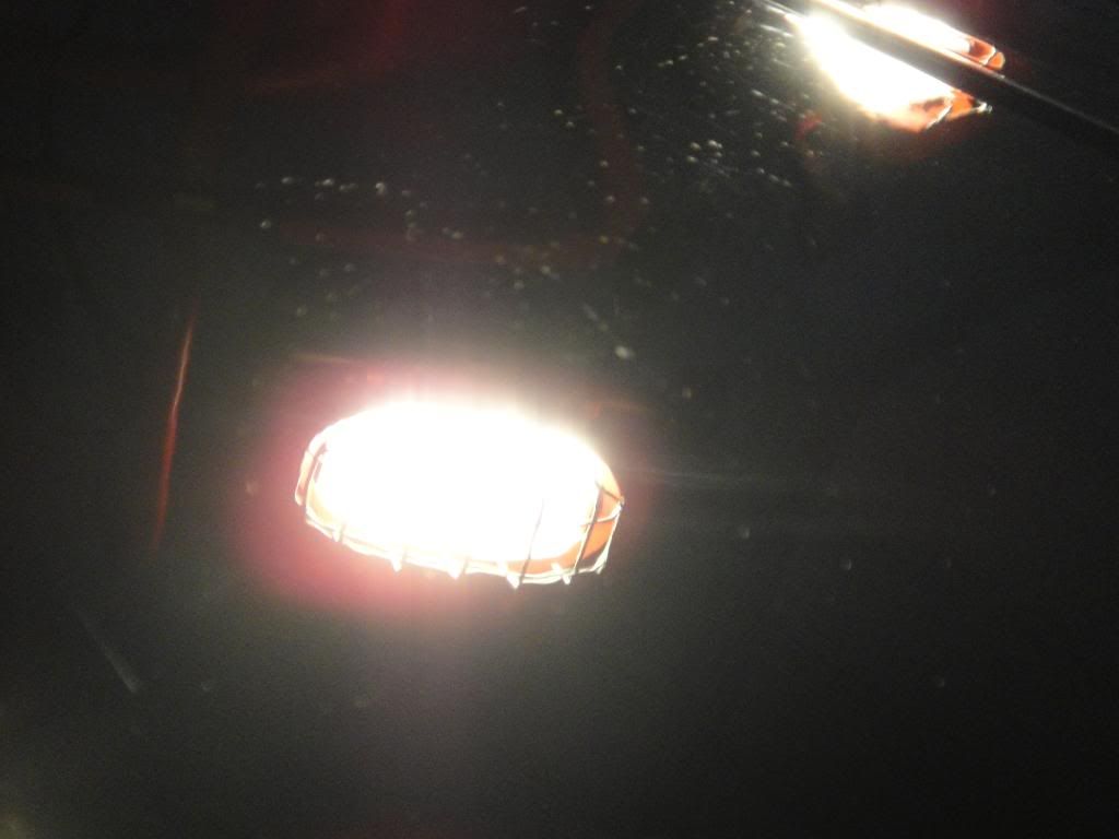 DSC00665.jpg