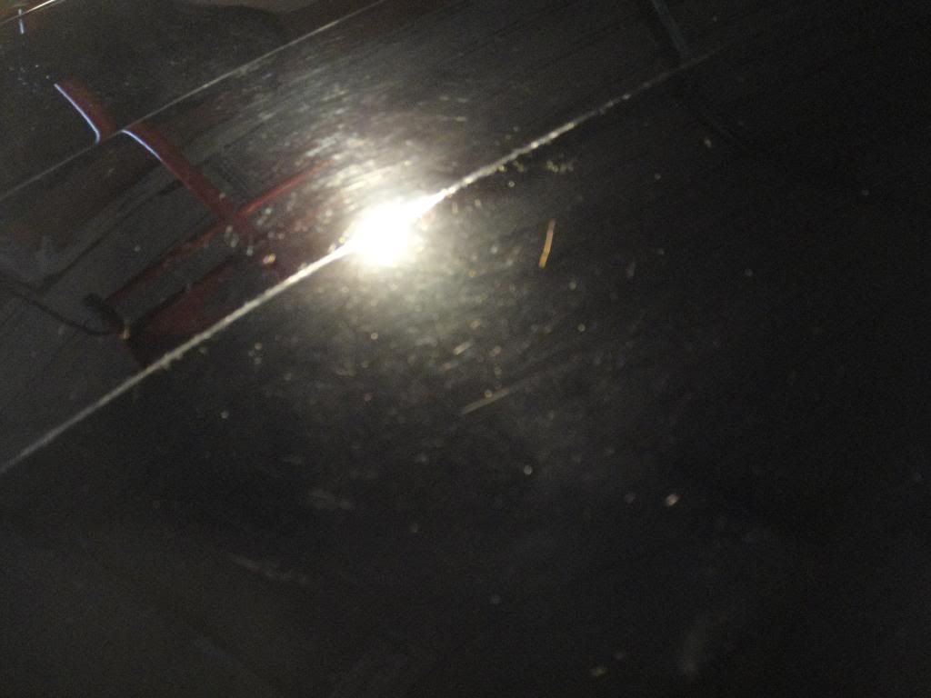 DSC00666.jpg