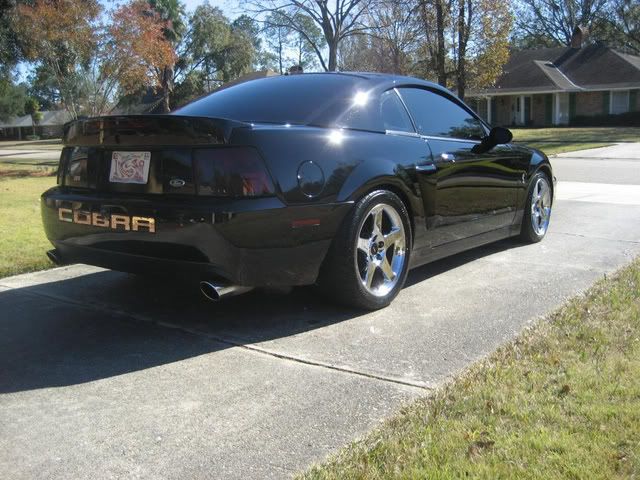 Detail-SVTCobra037.jpg