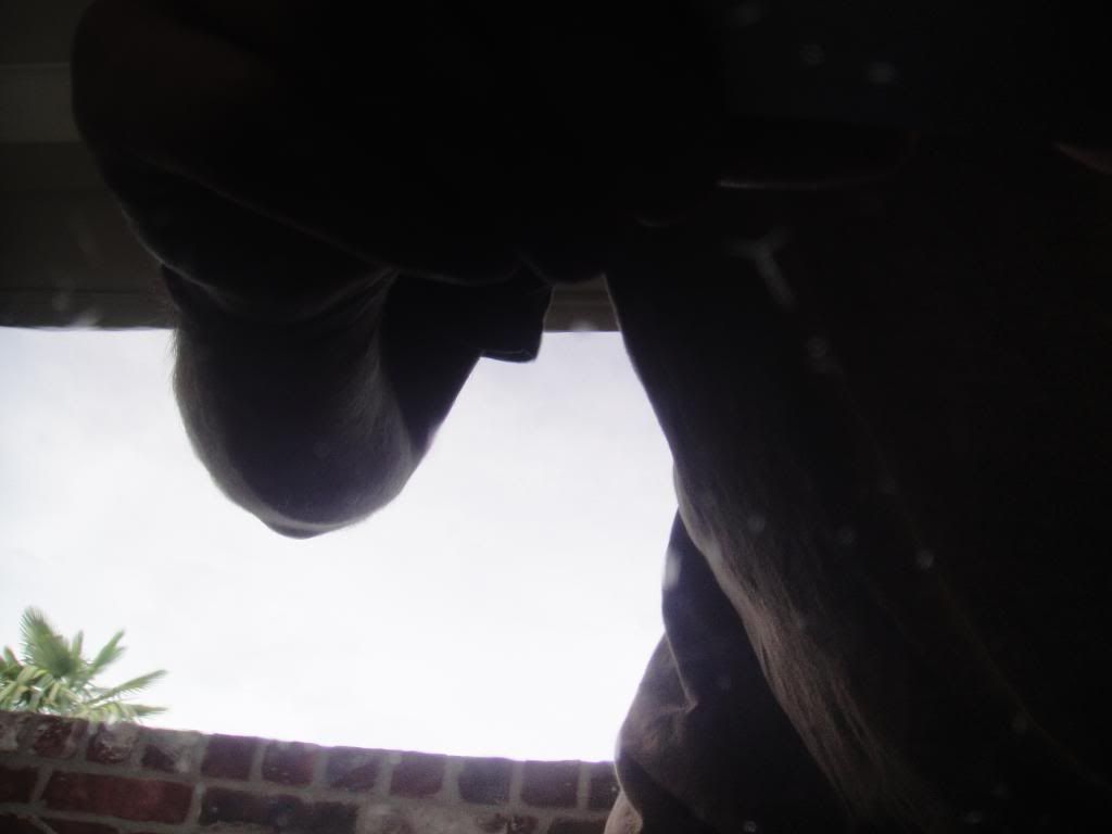 Random043.jpg