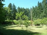 http://i206.photobucket.com/albums/bb122/NealV/th_35067.jpg