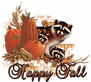 RacoonHappyFall.gif picture by TweetyVal