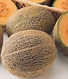 cantaloupe Pictures, Images and Photos