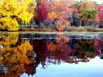 new-england-fall-foliage.jpg NE foliage image by hezkewl