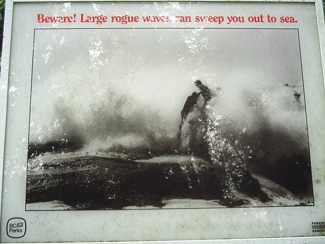[Linked Image from i206.photobucket.com]