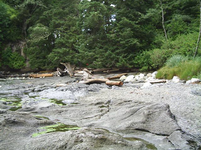[Linked Image from i206.photobucket.com]