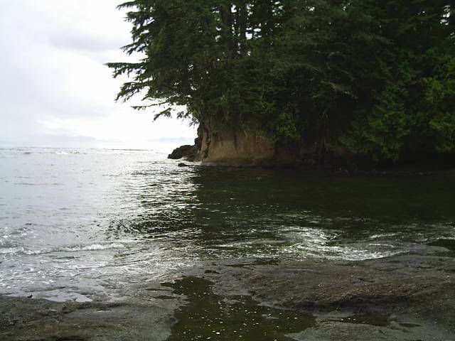 [Linked Image from i206.photobucket.com]