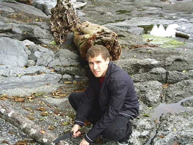 [Linked Image from i206.photobucket.com]