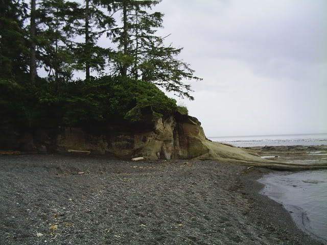 [Linked Image from i206.photobucket.com]
