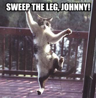 cat puns photo: cat sweep-the-leg-johnny.jpg