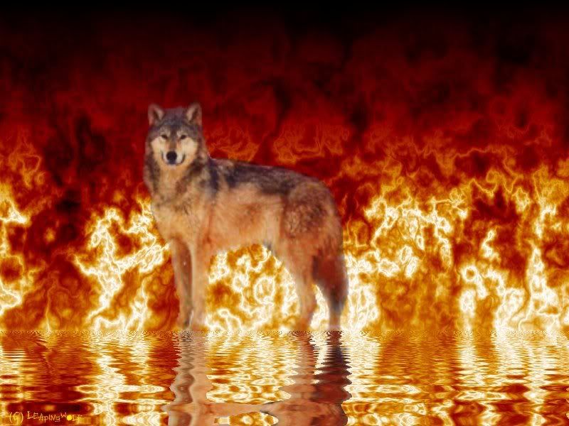 firewithwolf.jpg