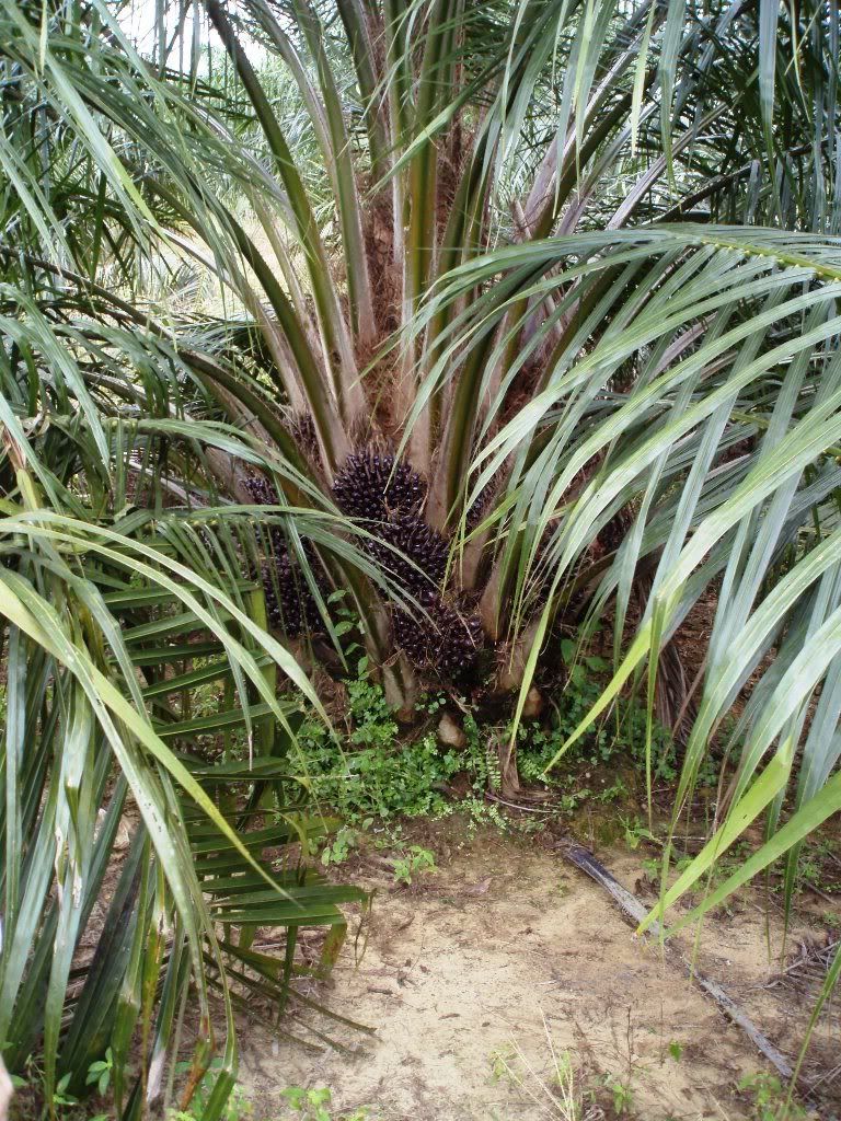 Two.jpg