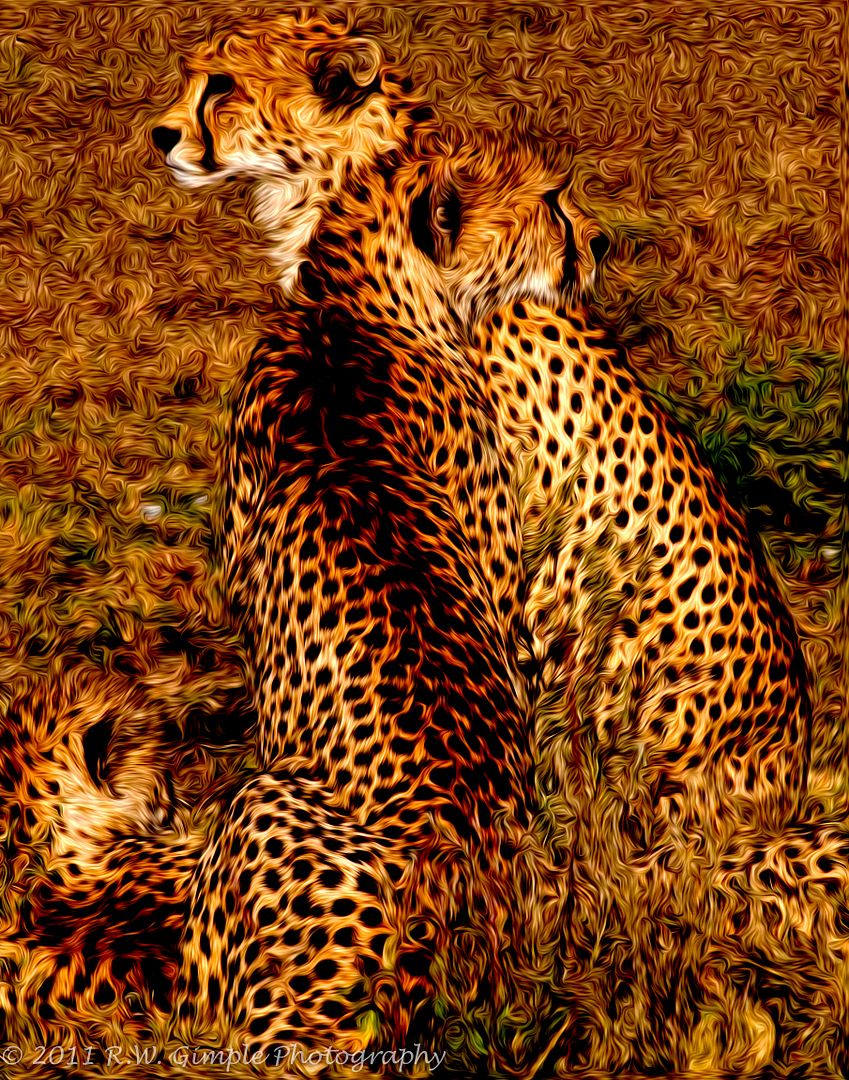 IMAGE: http://i206.photobucket.com/albums/bb149/rwg_bucket/Pixelbentcats-4.jpg