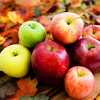 Stack of apples Pictures, Images and Photos