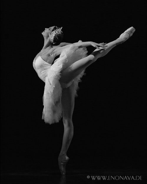 Image hotlink - 'http://i206.photobucket.com/albums/bb165/lyricallvr14/Paloma%20Semionova/PalomaSemionova.jpg'