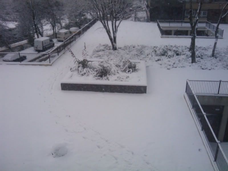 2010-01-05134206.jpg