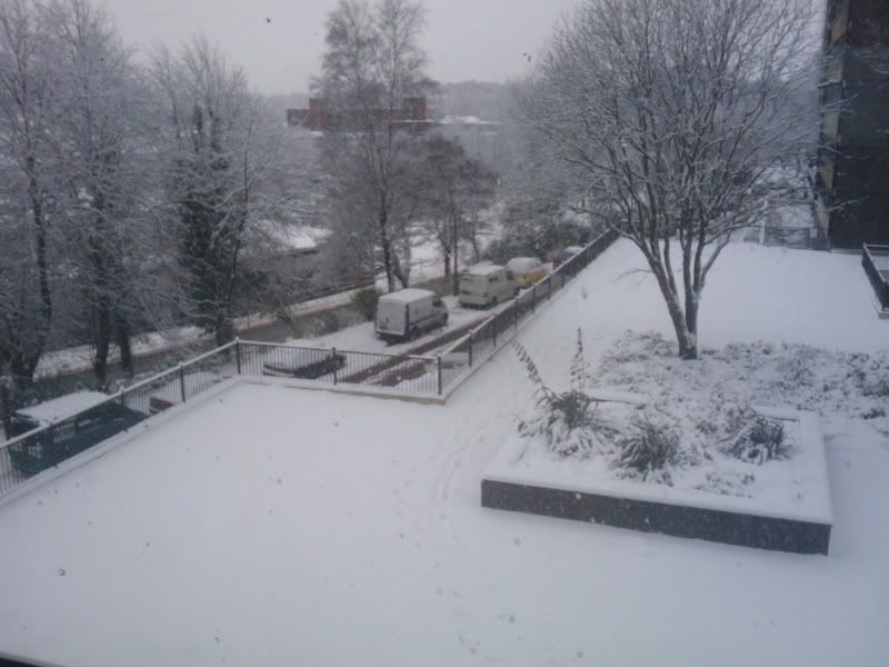 2010-01-05134214.jpg