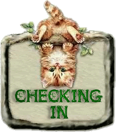 CheckingInCat.gif picture by jeana900