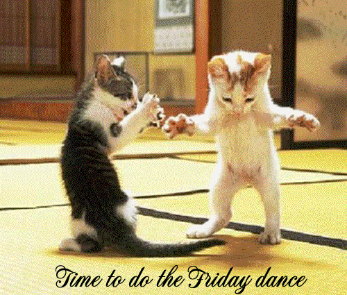 timetodothefridaydancetr9-1.gif picture by jeana900