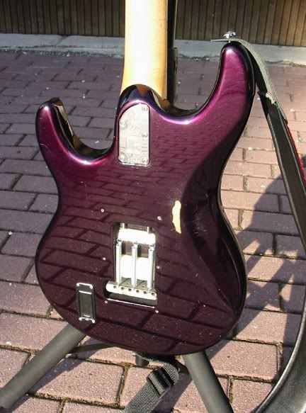 SiloSpecPearlPurpleBodyBackRight.jpg