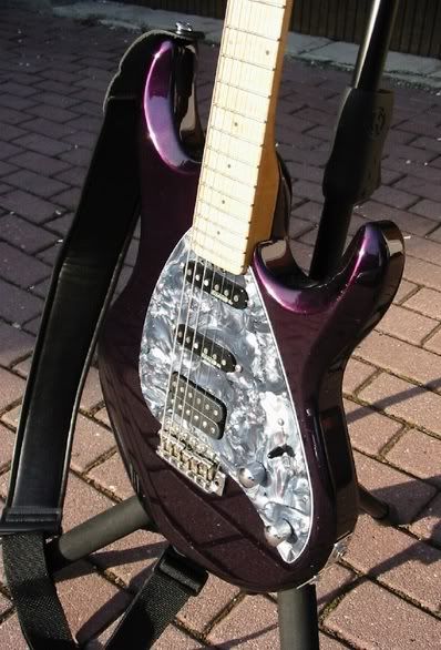 SiloSpecPearlPurpleBodyRight.jpg
