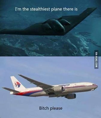 stealthplane_zps12666a51.jpg