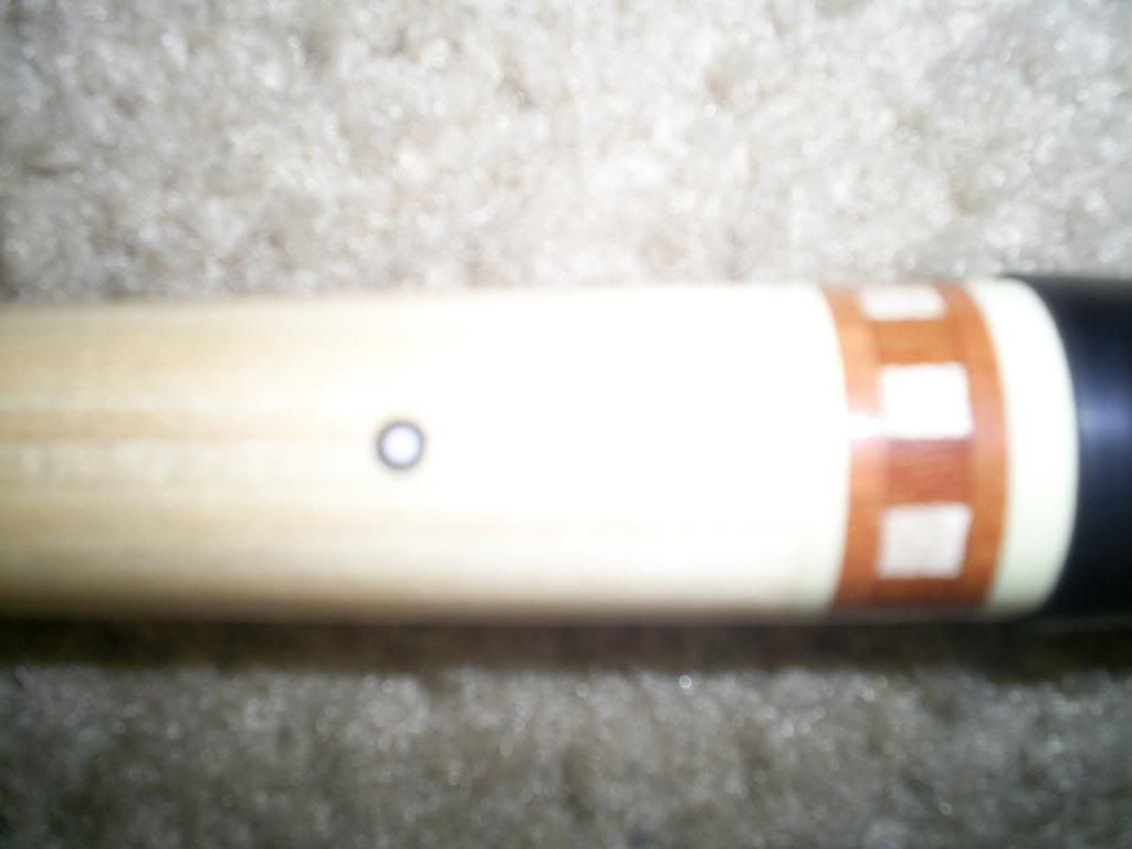 S4022837.jpg