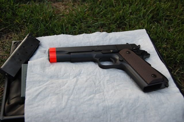 http://i206.photobucket.com/albums/bb208/Dr-Burke/DSC_0637.jpg