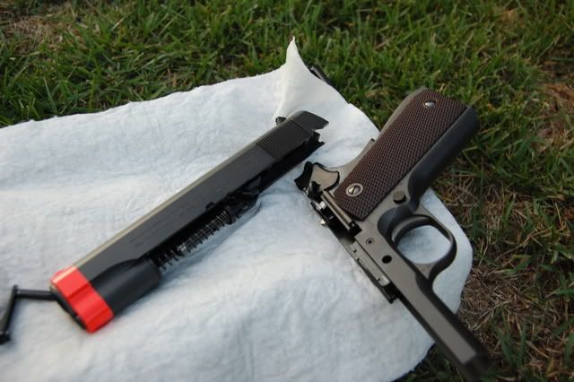 http://i206.photobucket.com/albums/bb208/Dr-Burke/DSC_0641-1.jpg