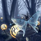 fairywoder.jpg image by annetteblair