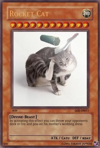 Rocketcat.jpg
