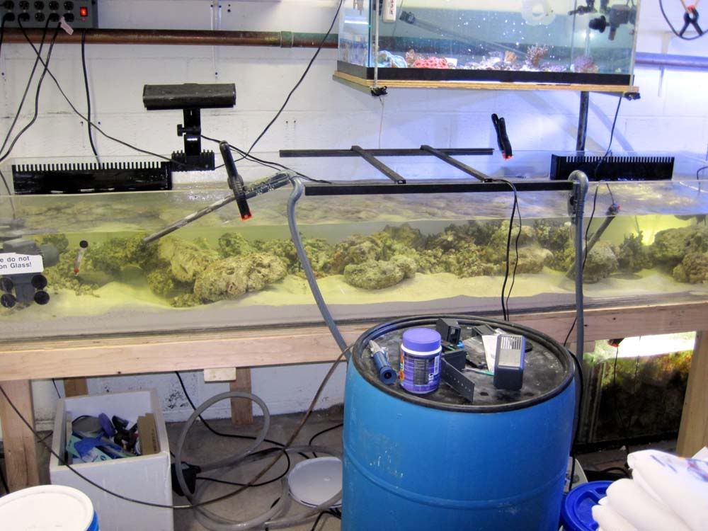 fts11-14-09.jpg