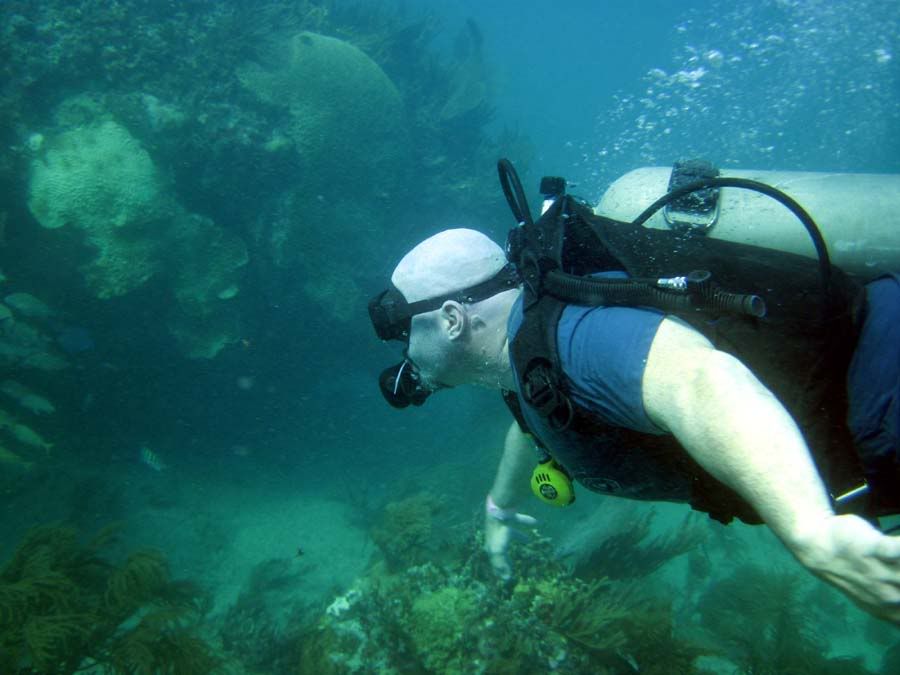 dive17.jpg