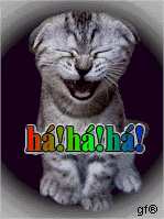 4764_cat-hahaha.gif picture by analialaplata