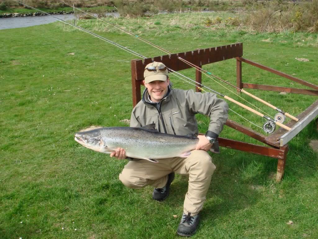 large salmon