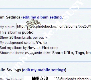 Photo Sharing and Video Hosting at Photobucket