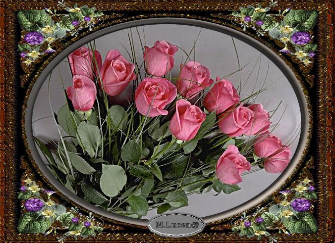 ROSASYFLORES-129.jpg picture by PURMIG