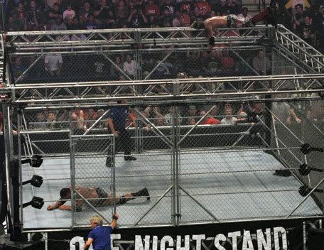 BrilliantviewoftheONSSteelCageMatch.jpg Steel Cage Match at ONS image by WWE_ECW_Rules