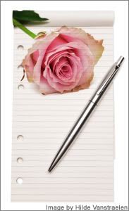 Rose Stationery Pictures, Images and Photos