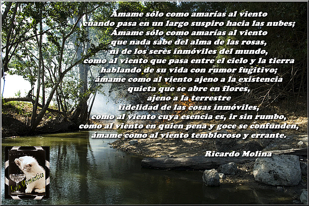 Amame.gif Amame... picture by locoromantico