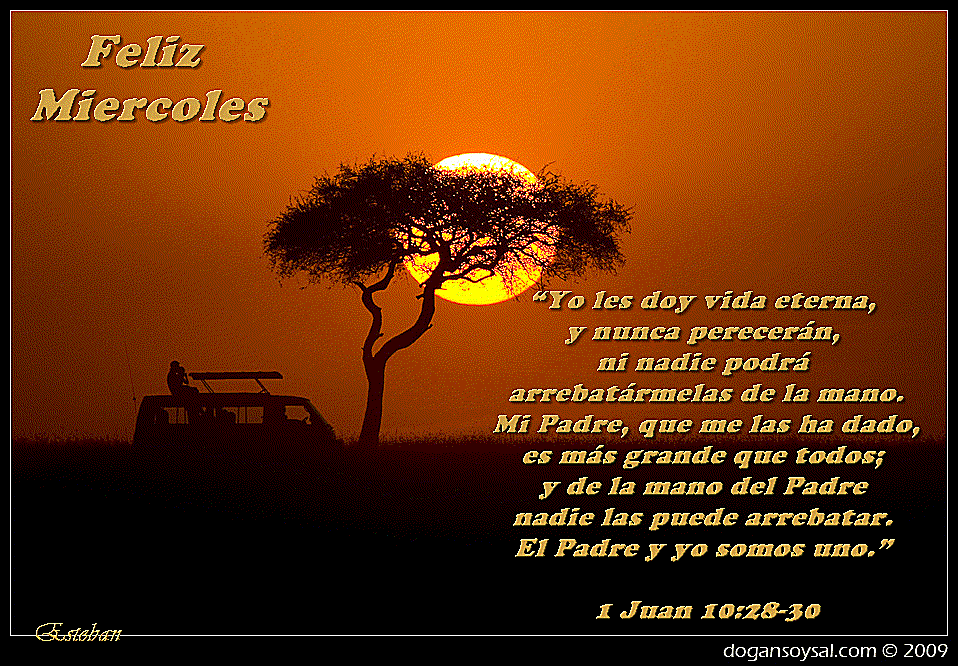 miercoles-8.gif Miercoles... picture by locoromantico