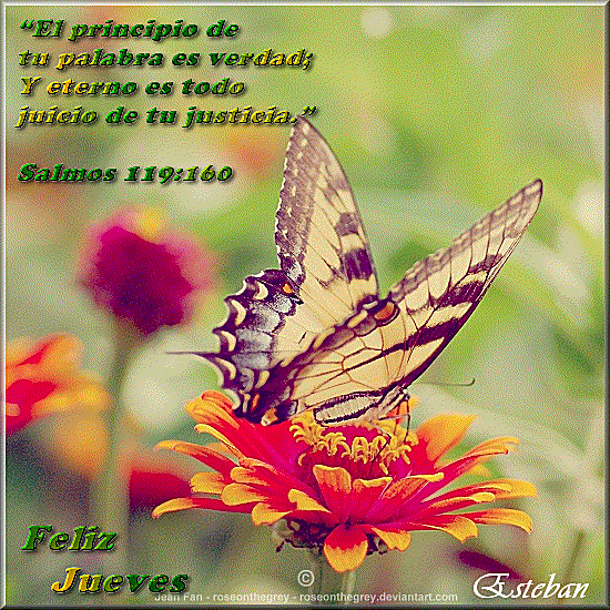 Jueves-14.gif Jueves... picture by locoromantico