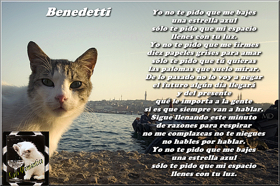 benedetti-3.gif Yo No Te Pido...