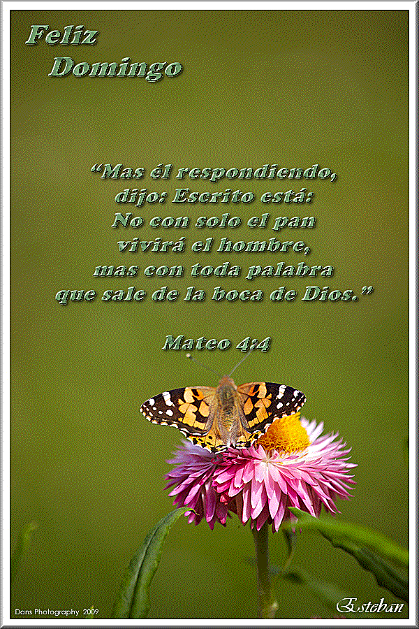 domingo-15.gif Domingo... picture by locoromantico