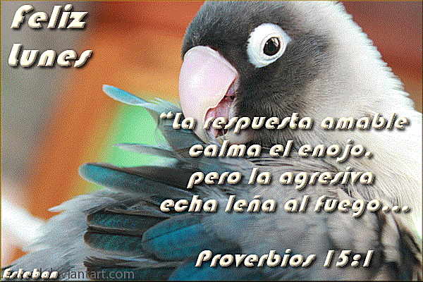 lunes ...  lunes foto-13_zpsbff54024.gif