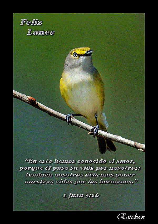 lunes-5.gif Lunes... picture by locoromantico