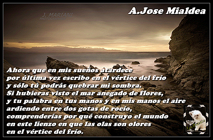 mialdea.gif Jose Mialdea... picture by locoromantico