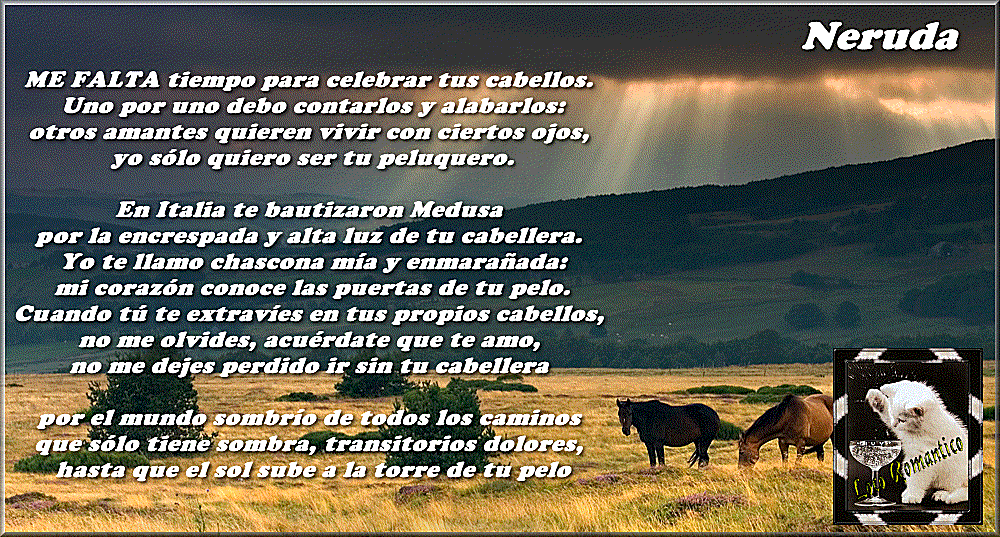 neruda-2.gif Me Hace Falta... picture by locoromantico